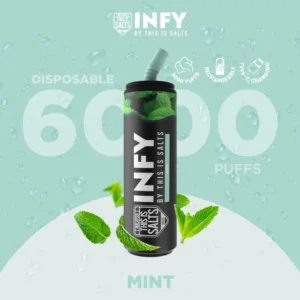 INFY 6000 Puffs Mint
